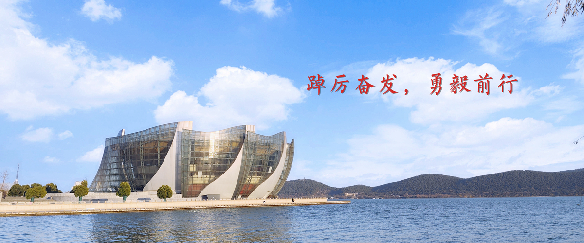 踔厉奋发，勇毅前行